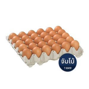 ไข่ไก่เบอร์ จัมโบ้